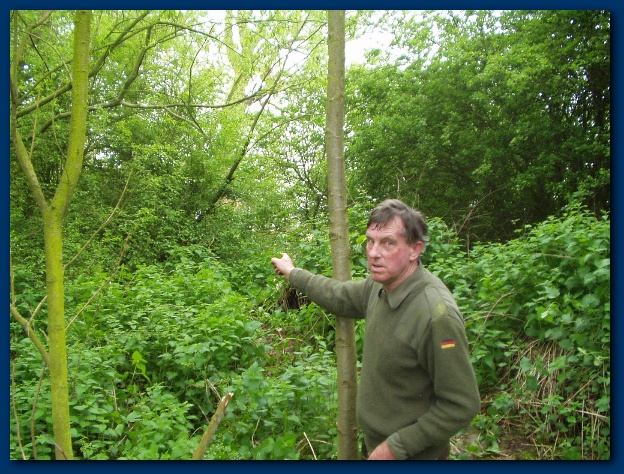 600x449 pixels (198K)